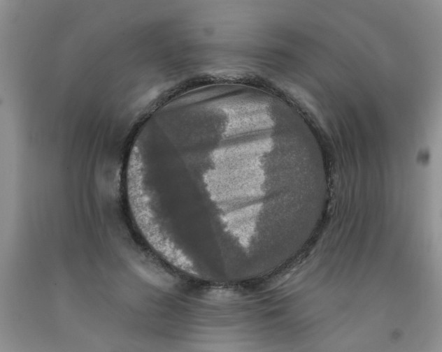 X0000091350596200709071240