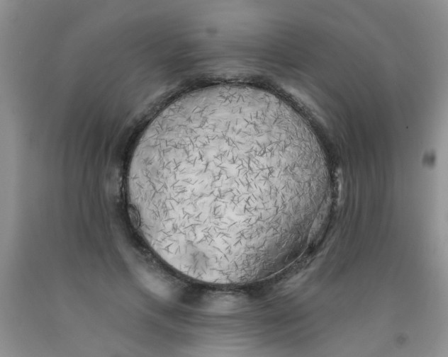 X0000091350597200709071240