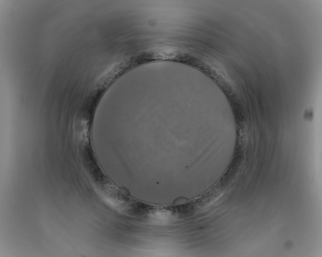 X0000091350598200709071240