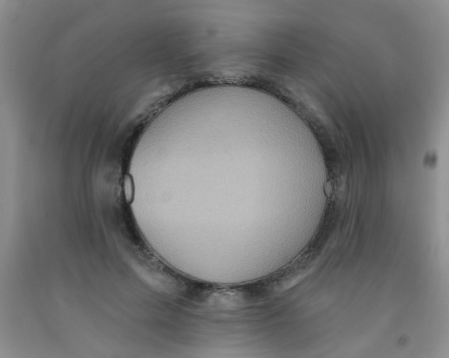 X0000091350599200709071240