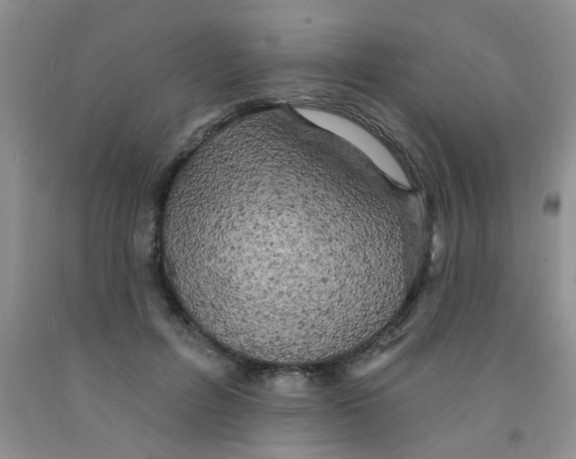 X0000091350600200709071240