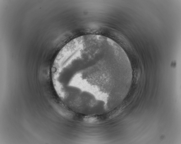 X0000091350602200709071240