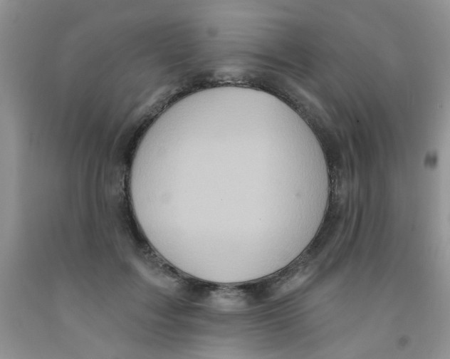X0000091350603200709071240