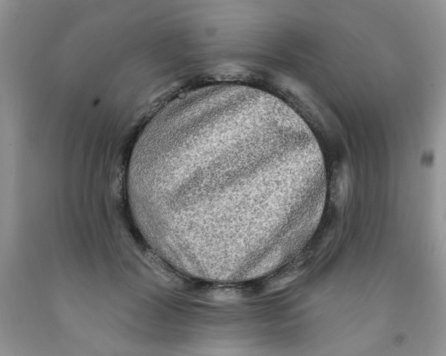 X0000091350604200709071240