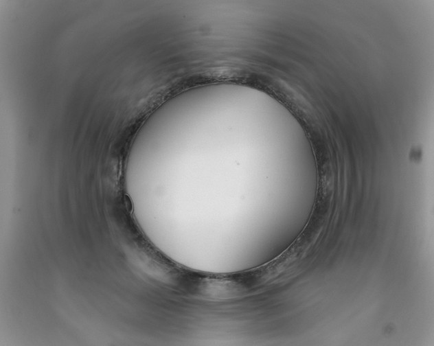 X0000091350605200709071240