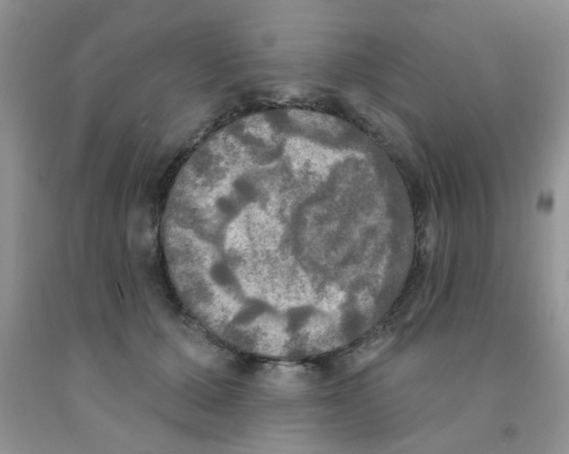 X0000091350607200709071240