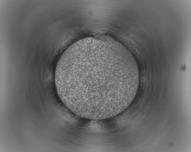 X0000091350608200709071240