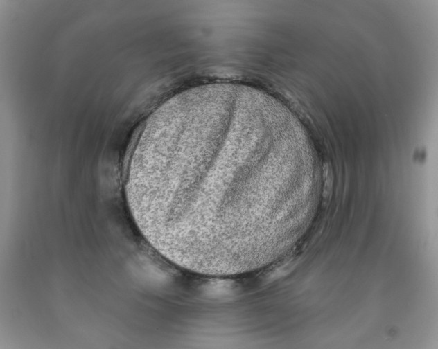 X0000091350609200709071240