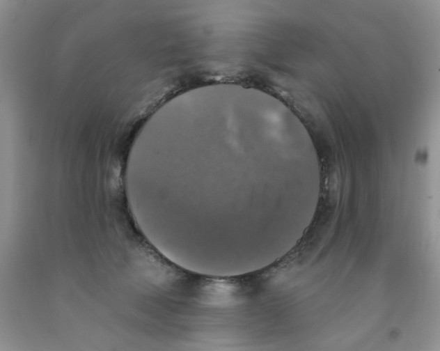 X0000091350610200709071240