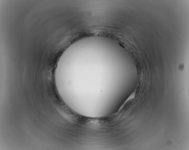 X0000091350611200709071240