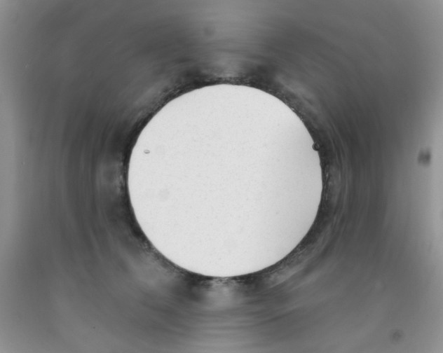 X0000091350612200709071240