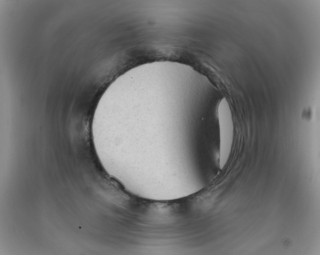 X0000091350613200709071240