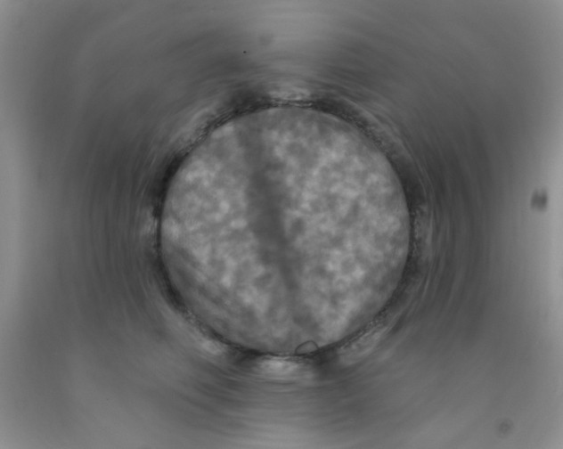 X0000091350614200709071240