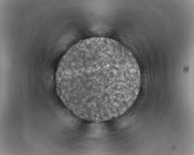 X0000091350615200709071240