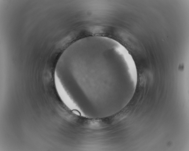 X0000091350618200709071240