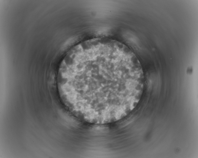 X0000091350619200709071240