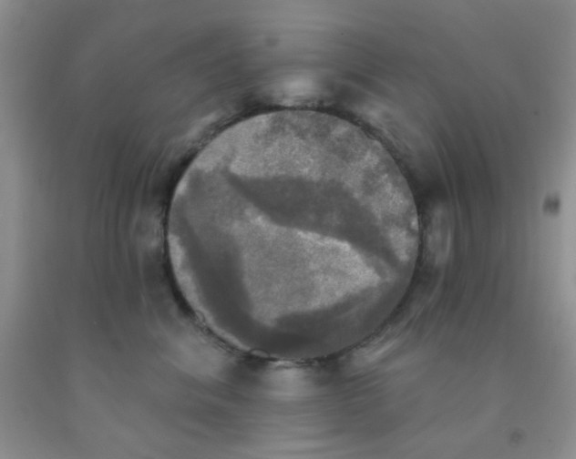 X0000091350620200709071240