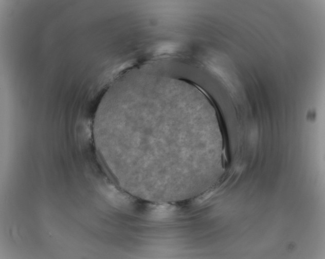 X0000091350621200709071240