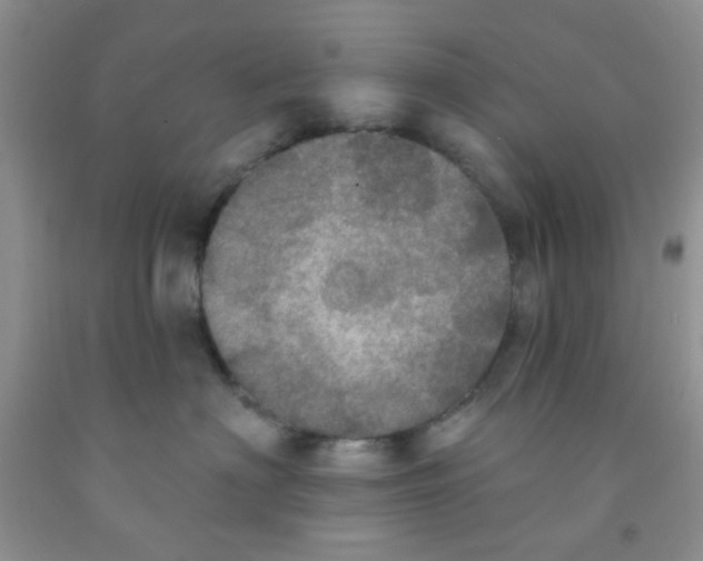 X0000091350622200709071240