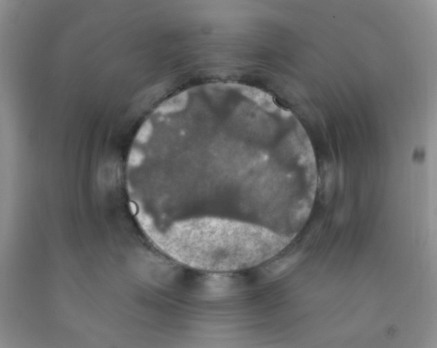 X0000091350623200709071240