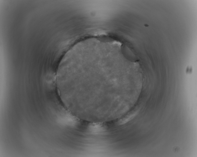 X0000091350624200709071240