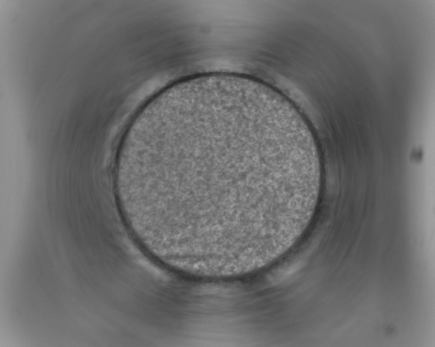 X0000091350625200709071239