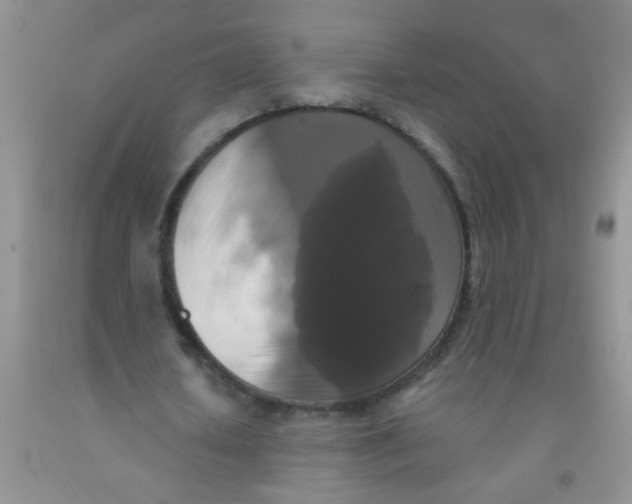 X0000091350626200709071239