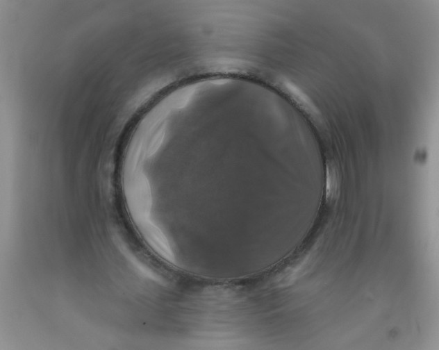 X0000091350627200709071239