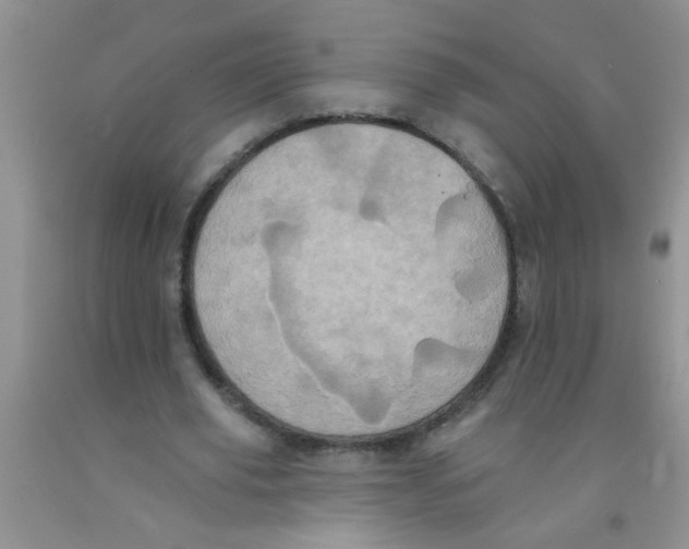 X0000091350629200709071239
