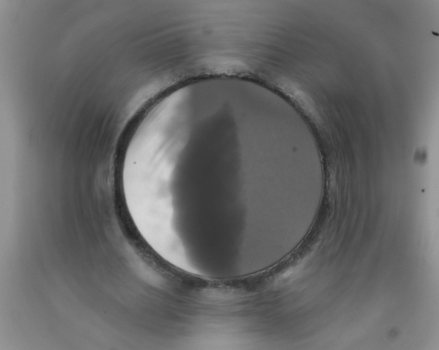 X0000091350630200709071239