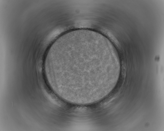 X0000091350631200709071239