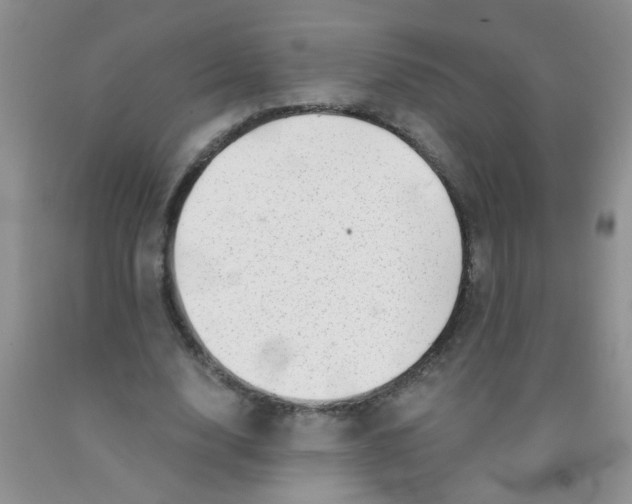 X0000091350632200709071239