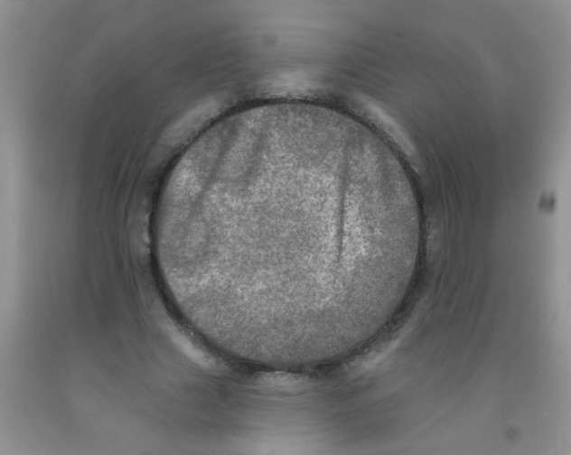 X0000091350633200709071239