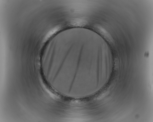 X0000091350634200709071239