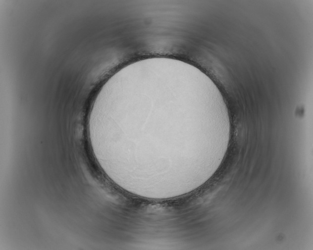 X0000091350635200709071239