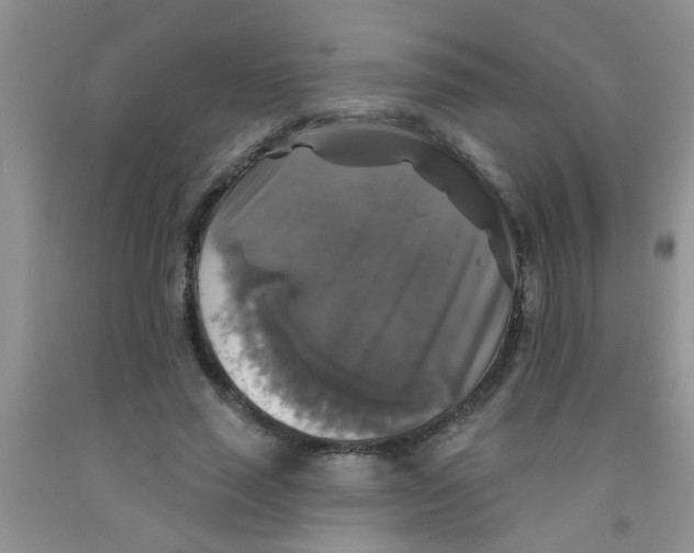 X0000091350637200709071239