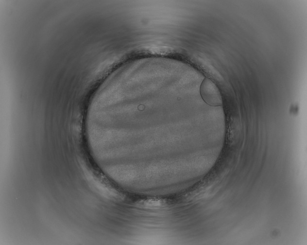 X0000091350639200709071239