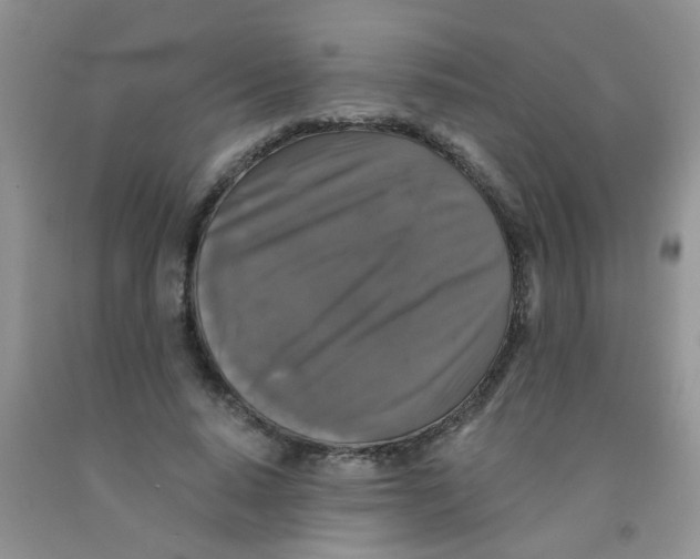 X0000091350640200709071239