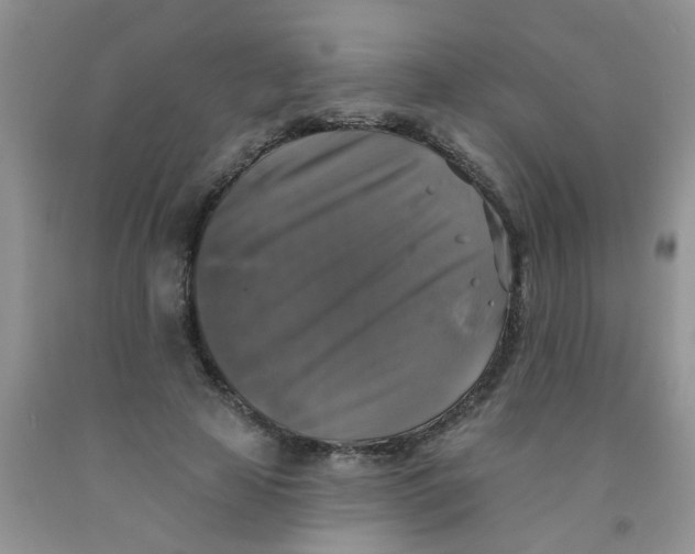 X0000091350641200709071239