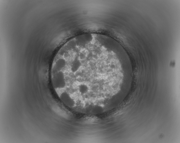 X0000091350642200709071239