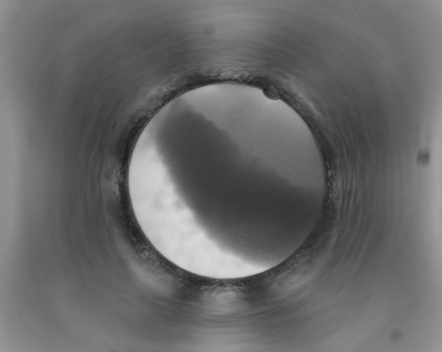 X0000091350643200709071239