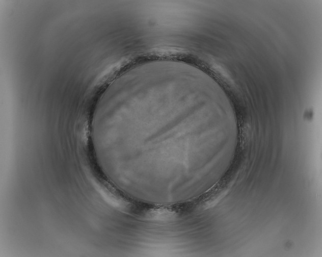 X0000091350644200709071239