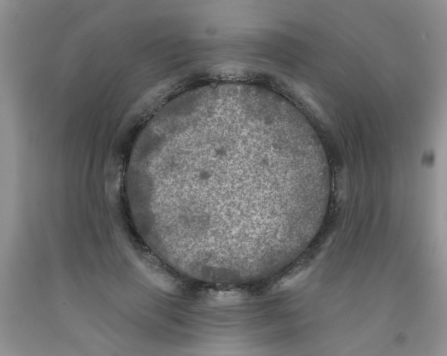 X0000091350645200709071239