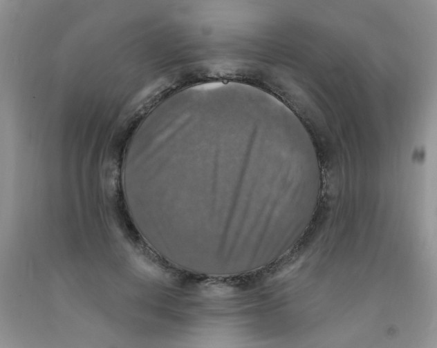 X0000091350648200709071239