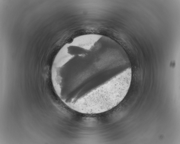 X0000091350649200709071239