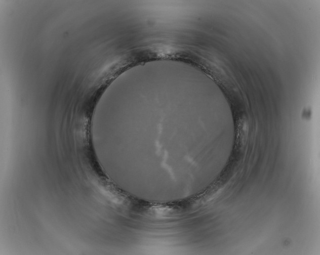 X0000091350650200709071239