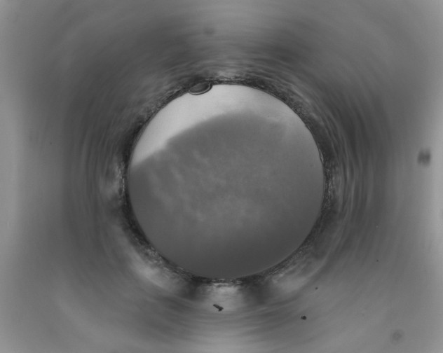 X0000091350651200709071239