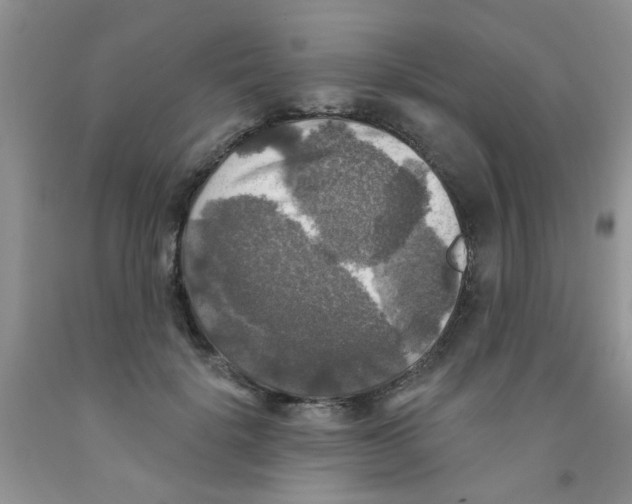 X0000091350652200709071239