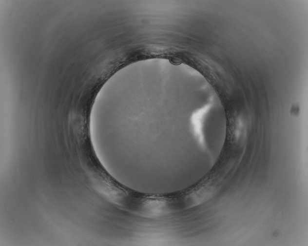 X0000091350653200709071239