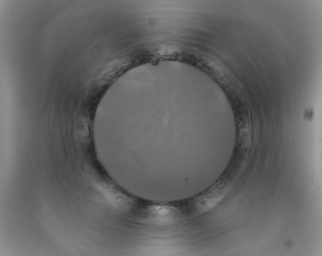 X0000091350654200709071239